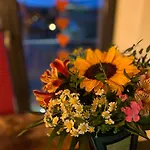 Im Chaletstil Sonnenidyll 51 Qm Wellness Fitness Sauna Bergroedelhof Lejlighed
