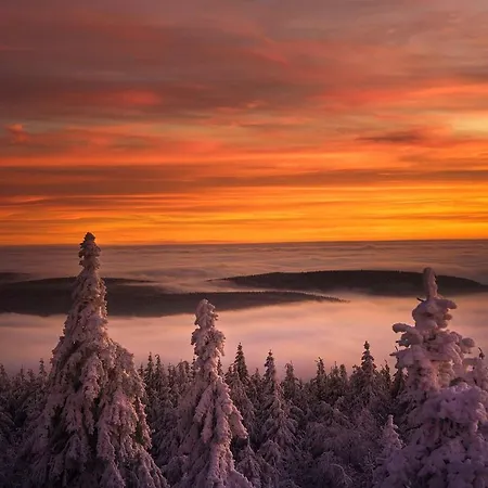 Im Chaletstil Sonnenidyll 51 Qm Wellness Fitness Sauna Bergrödelhof Apartment *