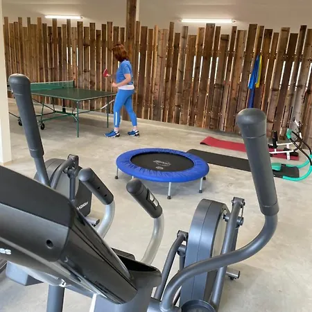 Im Chaletstil Sonnenidyll 51 Qm Wellness Fitness Sauna Bergroedelhof Daire Feilitzsch